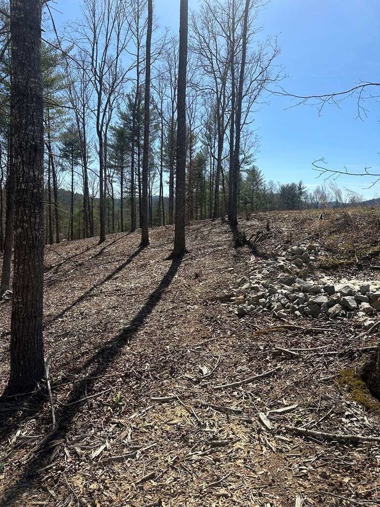 Morganton, GA 30560,Lot 188 The Ridges