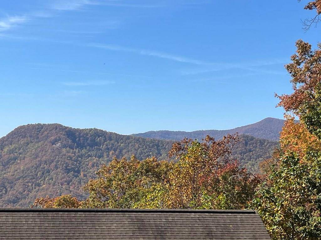 Hiawassee, GA 30546,Lot 9 Black Bear Trail