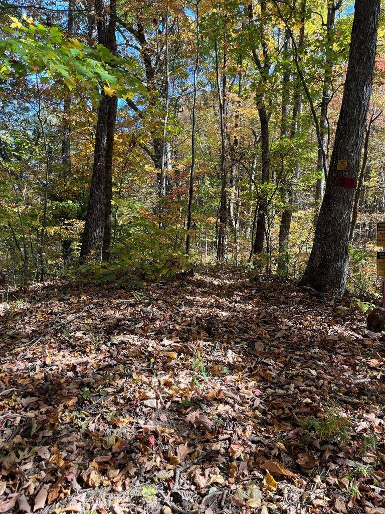 Hiawassee, GA 30546,Lot 9 Black Bear Trail