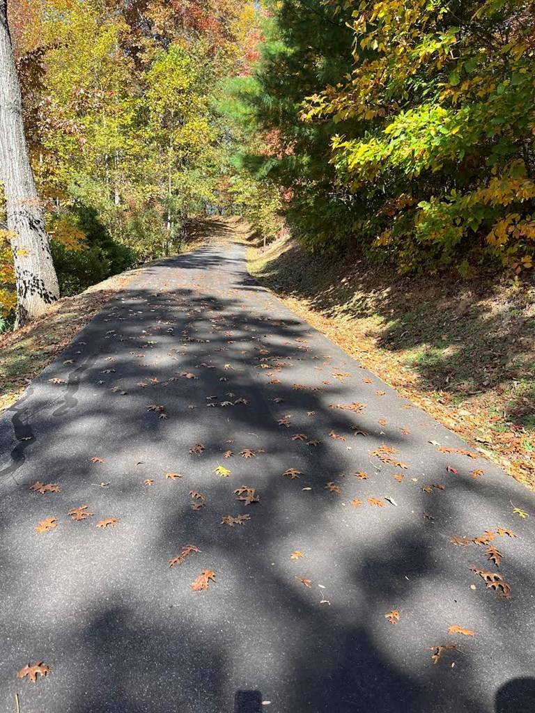 Hiawassee, GA 30546,Lot 9 Black Bear Trail