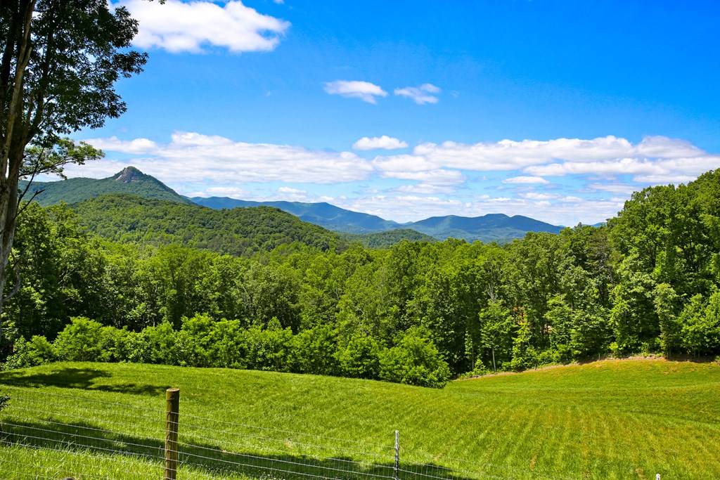 Hayesville, NC 28904,2899 Gribble Edwards Road