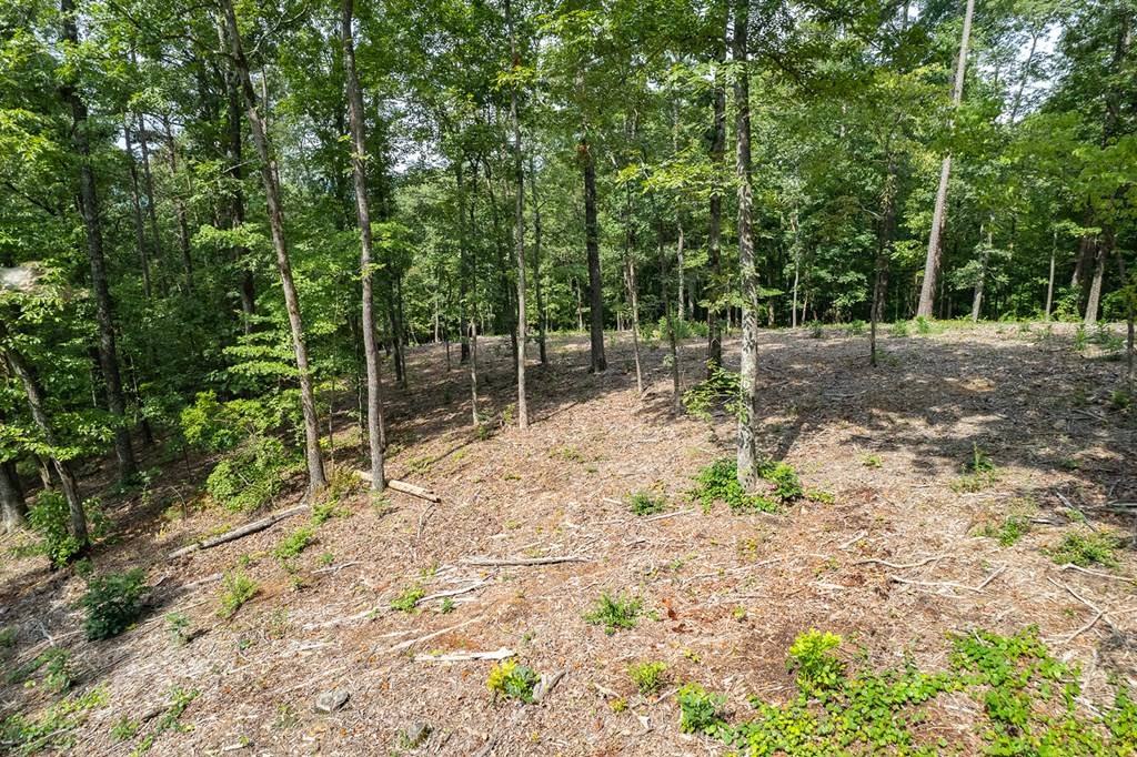 Talking Rock, GA 30175,Lot 314 Pebble Trace