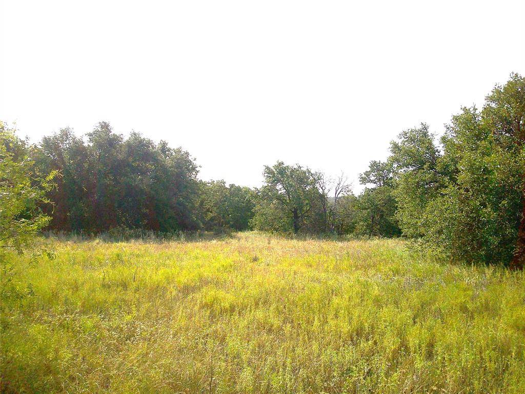 Springtown, TX 76082,18 ac CR 3757