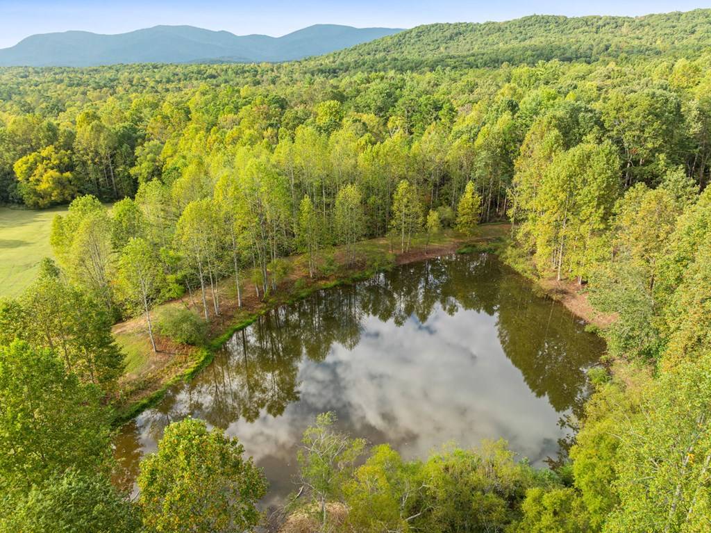 Ellijay, GA 30536,108 Pond Path