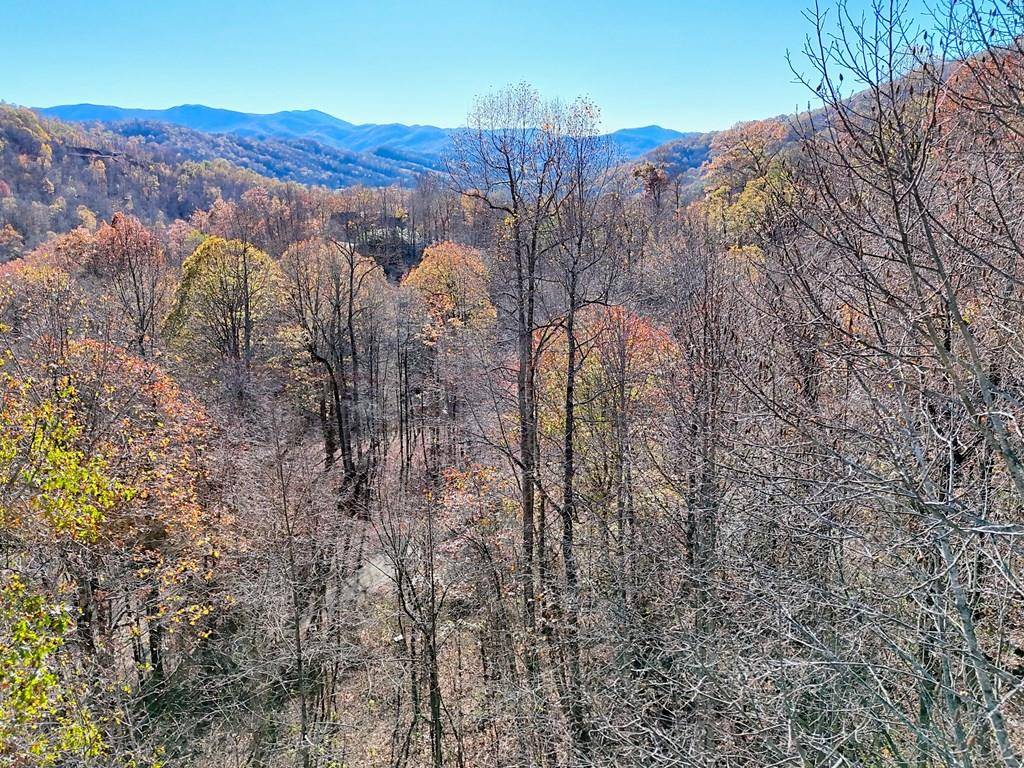 Hayesville, NC 28906,Lot 11 Noel Ridge