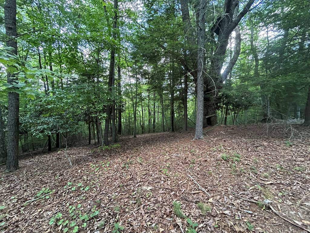 Dugspur, VA 24325,Lot 20 Chestnut Oak Lane