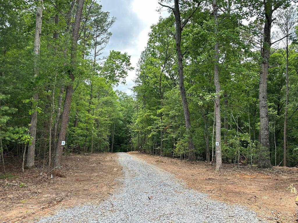 Murphy, NC 28906,Lot 1 Brasstown Country Ln