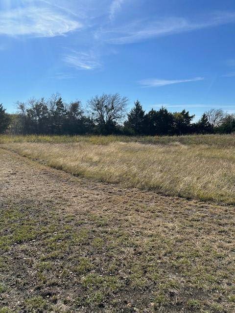 Trenton, TX 75490,LOT 28 Fm 981