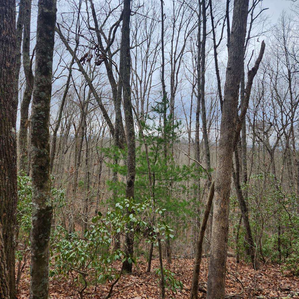 Mineral Bluff, GA 30559,7.72 ac Tower Road