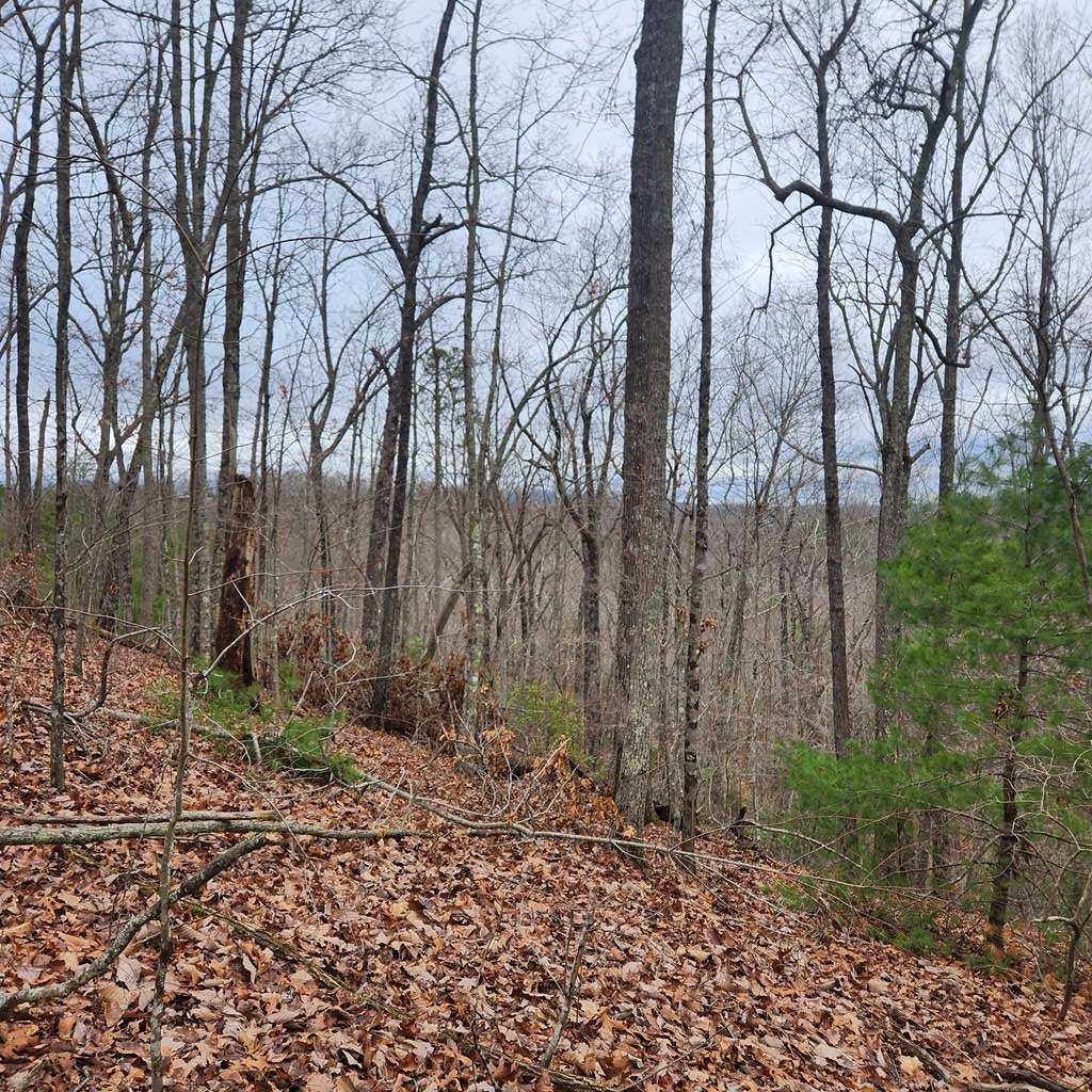 Mineral Bluff, GA 30559,7.72 ac Tower Road