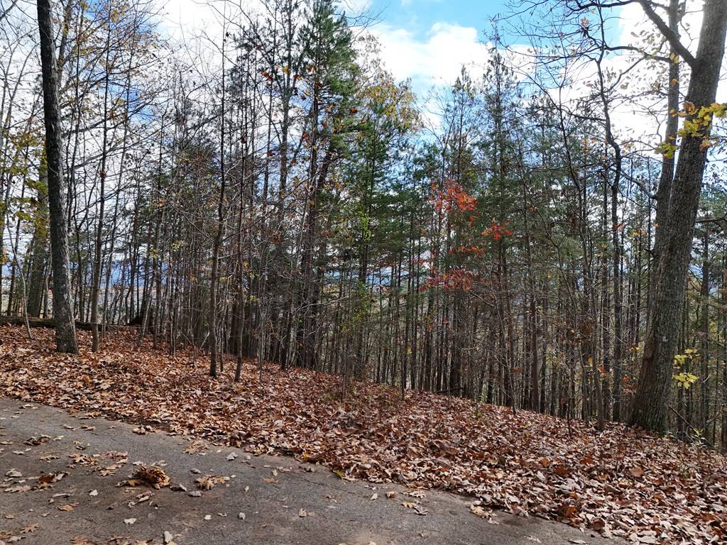 Morganton, GA 30560,Lot 4&4A Bruce Mountain