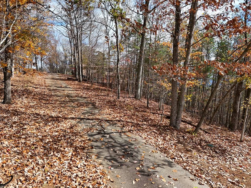 Morganton, GA 30560,Lot 4&4A Bruce Mountain