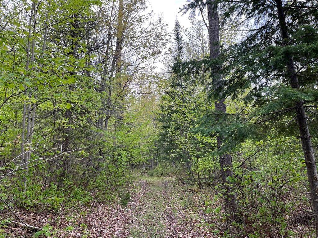 Madawaska Valley, ON K0J 1L0,Lot 1 CHIPPAWA RD