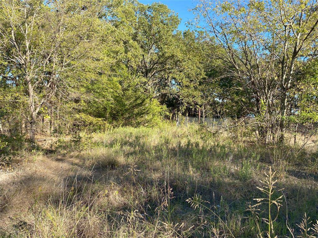 Hawk Cove, TX 75474,Lot 506 Amy Drive