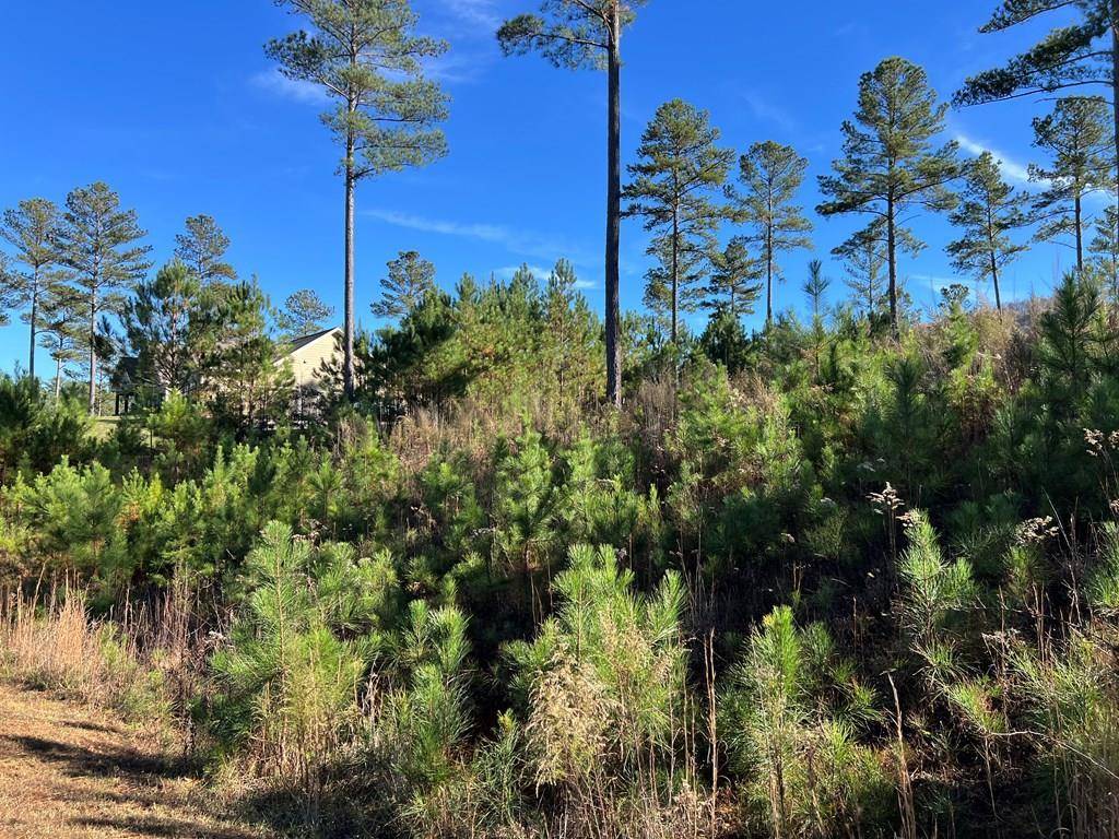 Blairsville, GA 30512,Lot 313 The Cove at 1300