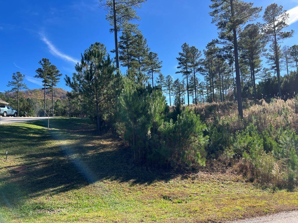 Blairsville, GA 30512,Lot 313 The Cove at 1300