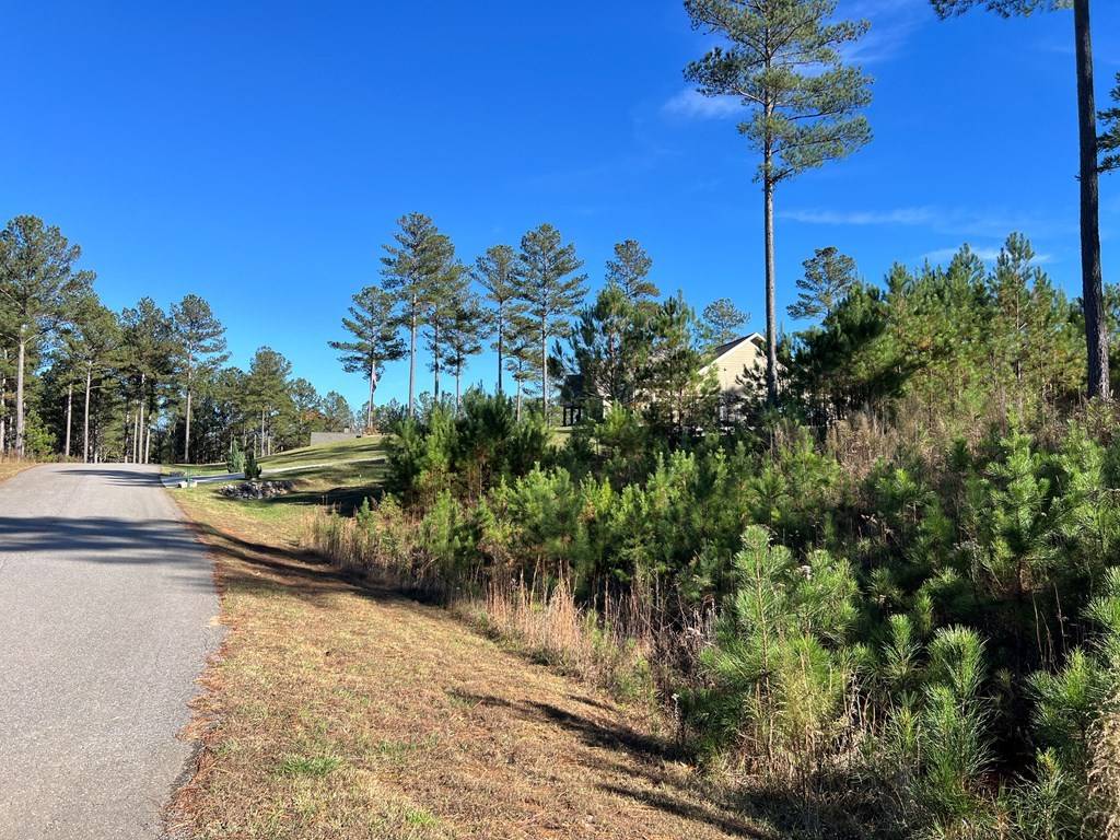 Blairsville, GA 30512,Lot 313 The Cove at 1300