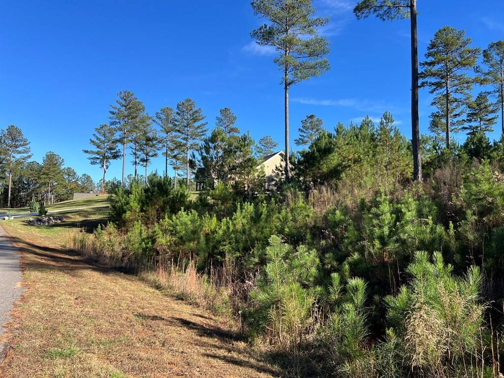 Blairsville, GA 30512,Lot 313 The Cove at 1300