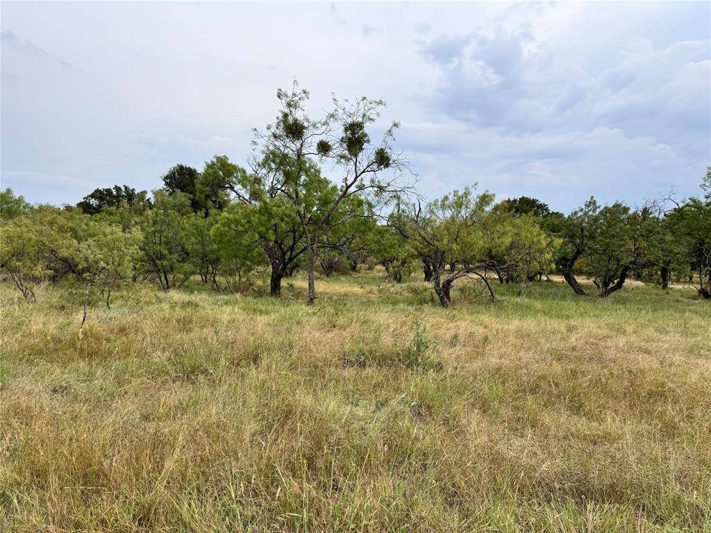 May, TX 76857,TBD LOT 1145 Lake Crest Drive