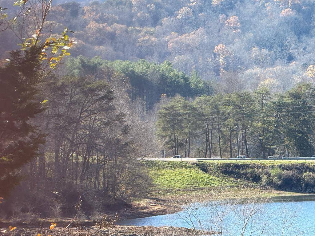 Hiawassee, GA 30546,Lot 5 Victoria Woods