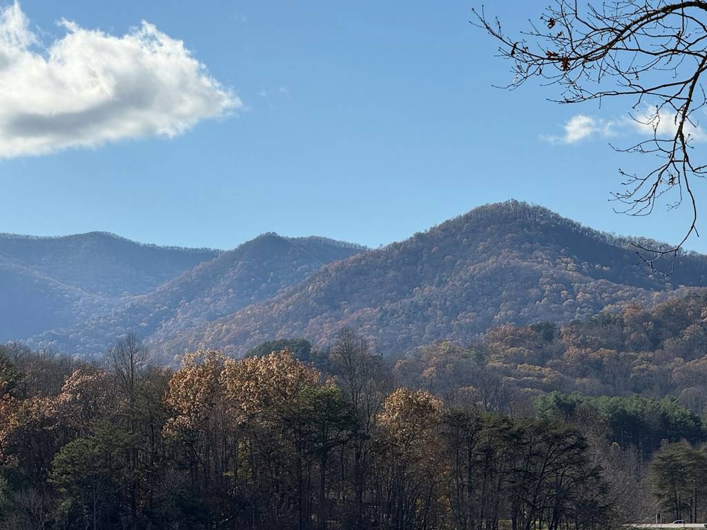 Hiawassee, GA 30546,Lot 5 Victoria Woods