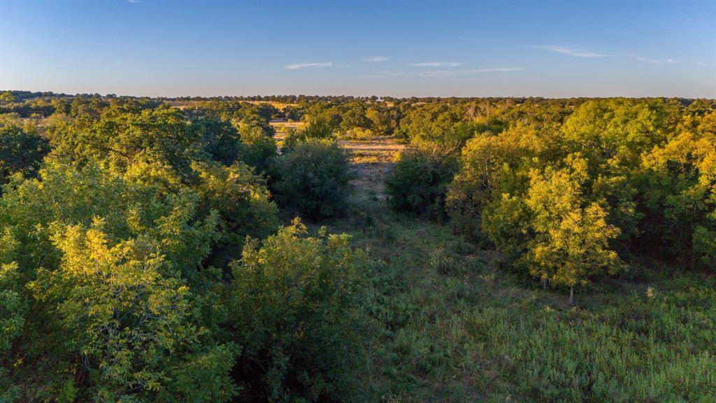 Perrin, TX 76486,TBD Tract 2 E. Hackley Road