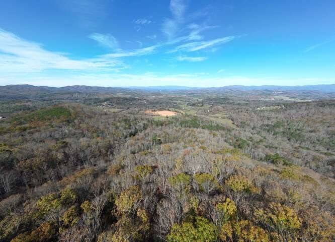 Young Harris, GA 30582,0 Winchester Creek