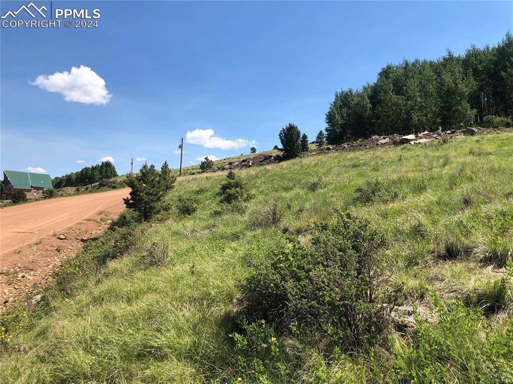 Cripple Creek, CO 80813,1720 Troy DR