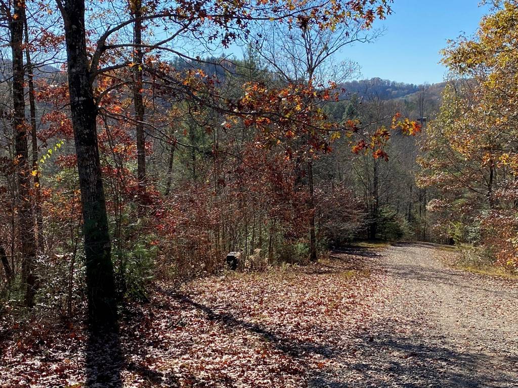 Murphy, NC 28906,Lot 24 Thimble Loop