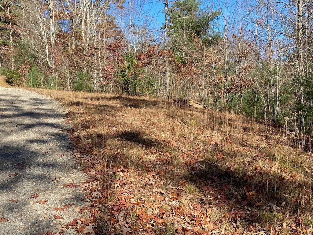 Murphy, NC 28906,Lot 24 Thimble Loop