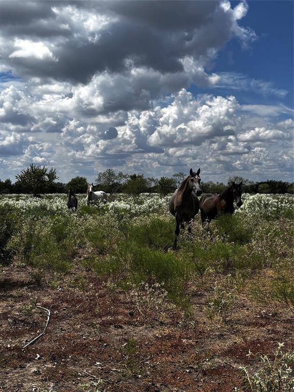 Campbell, TX 75422,5500 CR 3110