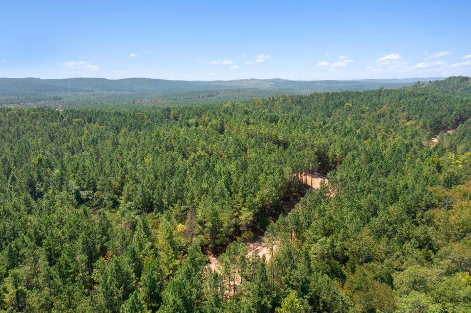 Broken Bow, OK 74728,318 Marked Pine Lane