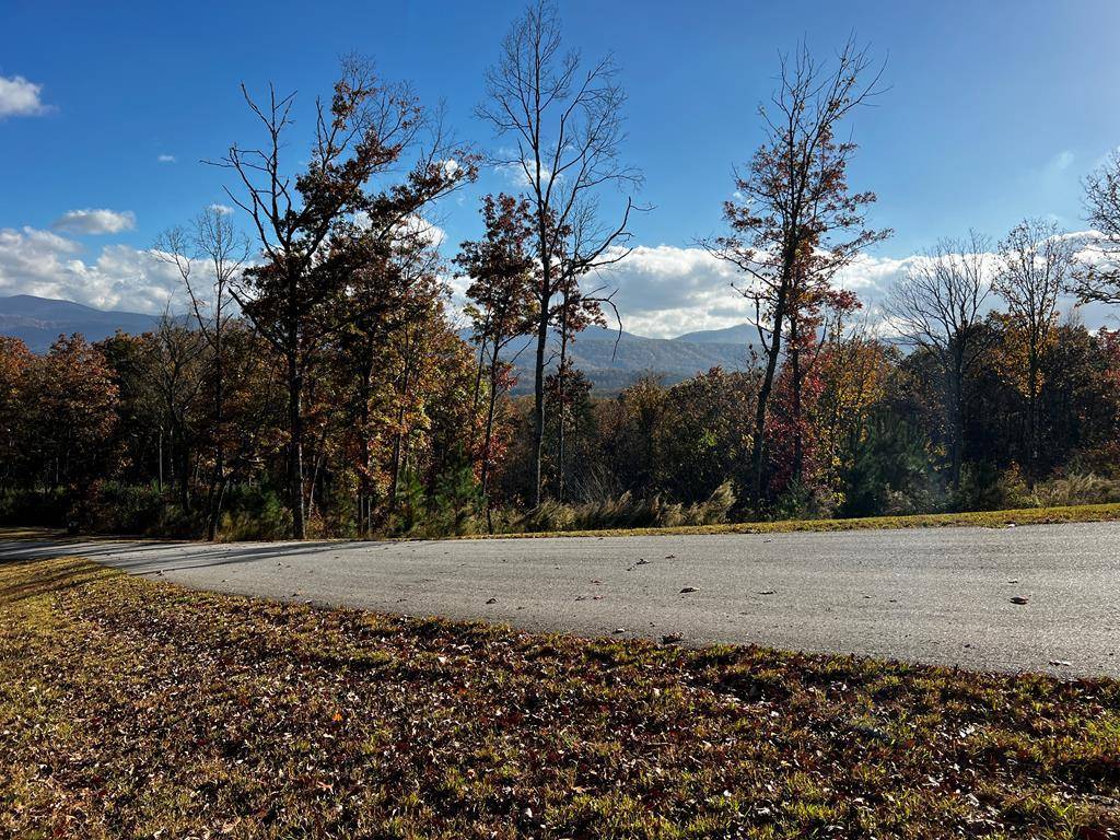 Blairsville, GA 30512,Lot 118 Winding Ridge