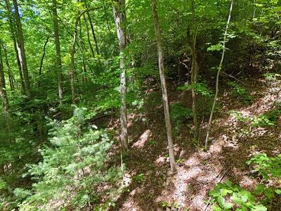 Hiawassee, GA 30546,Lot 12 Hightower Ridge