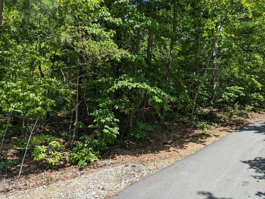 Hayesville, NC 28904,2.17 Ac Mountain Breezes Drive