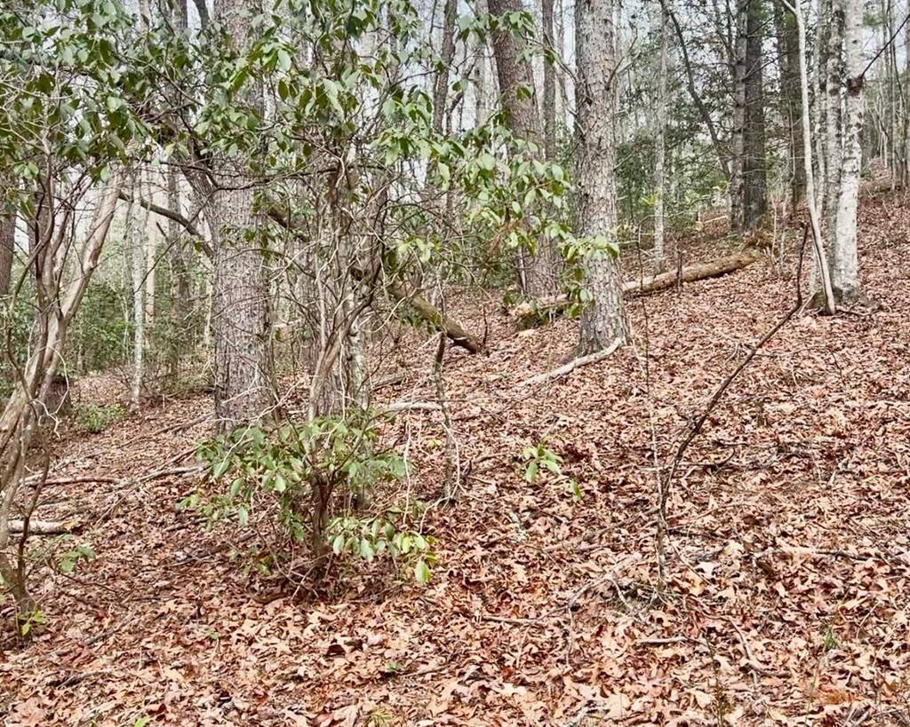 Mineral Bluff, GA 30560,300 Kaleb Trail