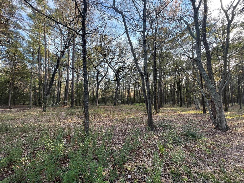 Tyler, TX 75707,14664 Jade Forest Trail