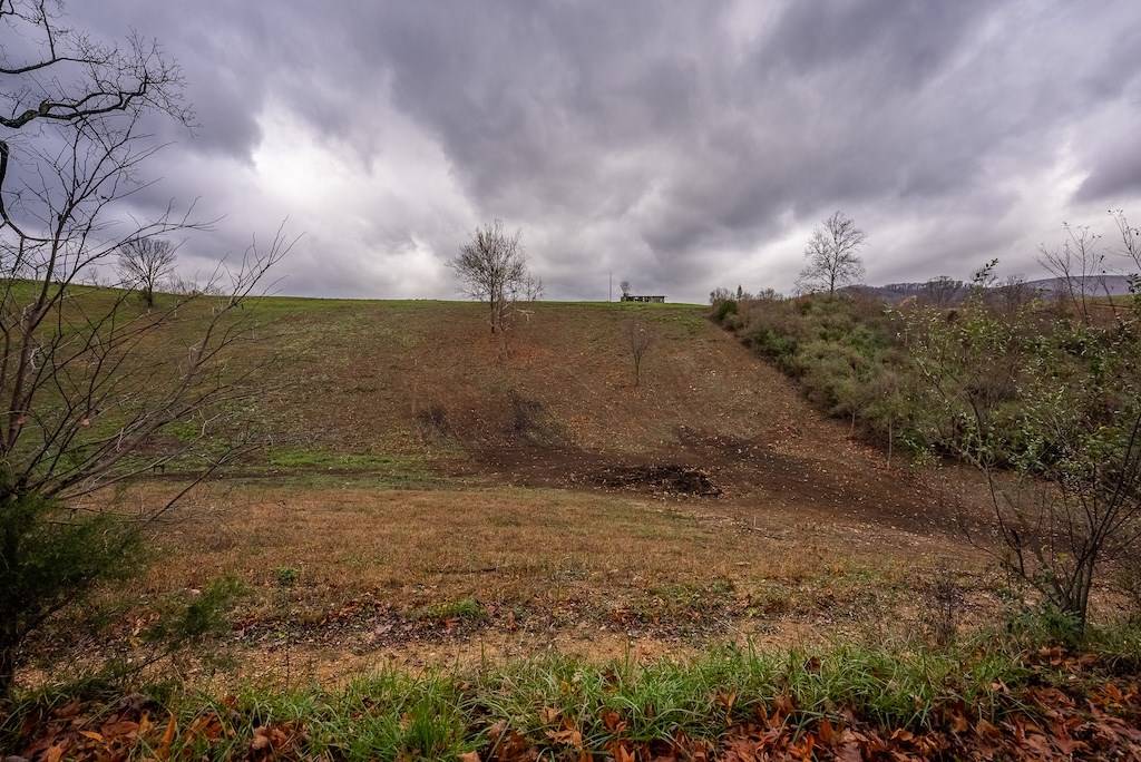 Pearisburg, VA 24134,Lot1 Curve Rd