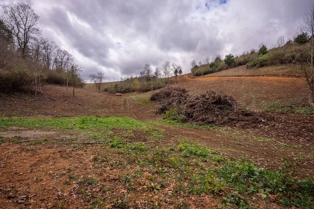 Pearisburg, VA 24134,Lot 2 Curve Rd