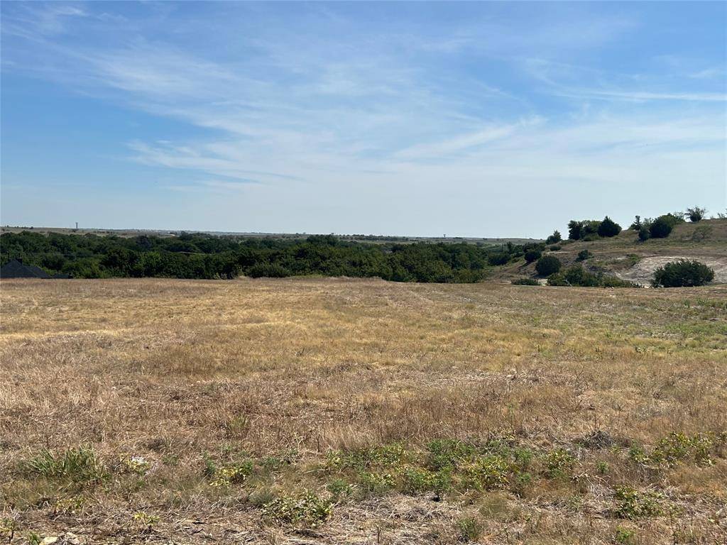 Aledo, TX 76008,1013 Bear Creek Ranch Road