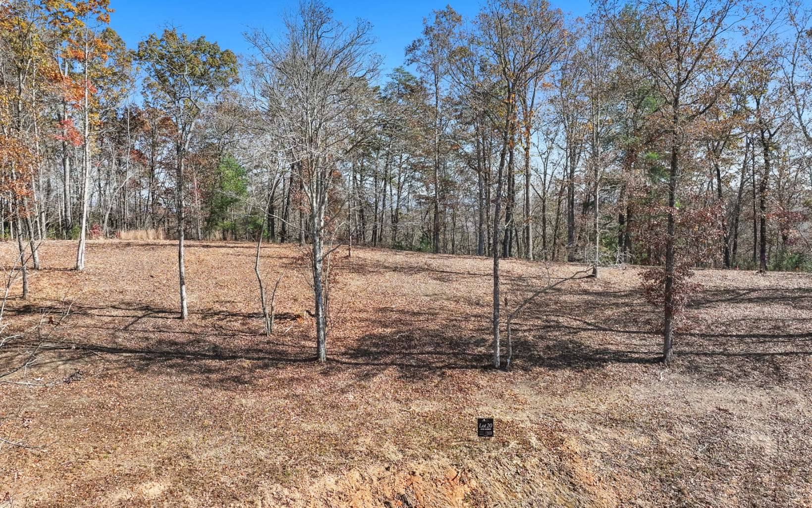 Blue Ridge, GA 30513,LT 20 Hidden Acres