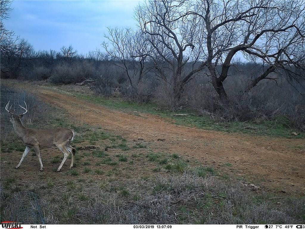 Albany, TX 76464,1549 CR 144