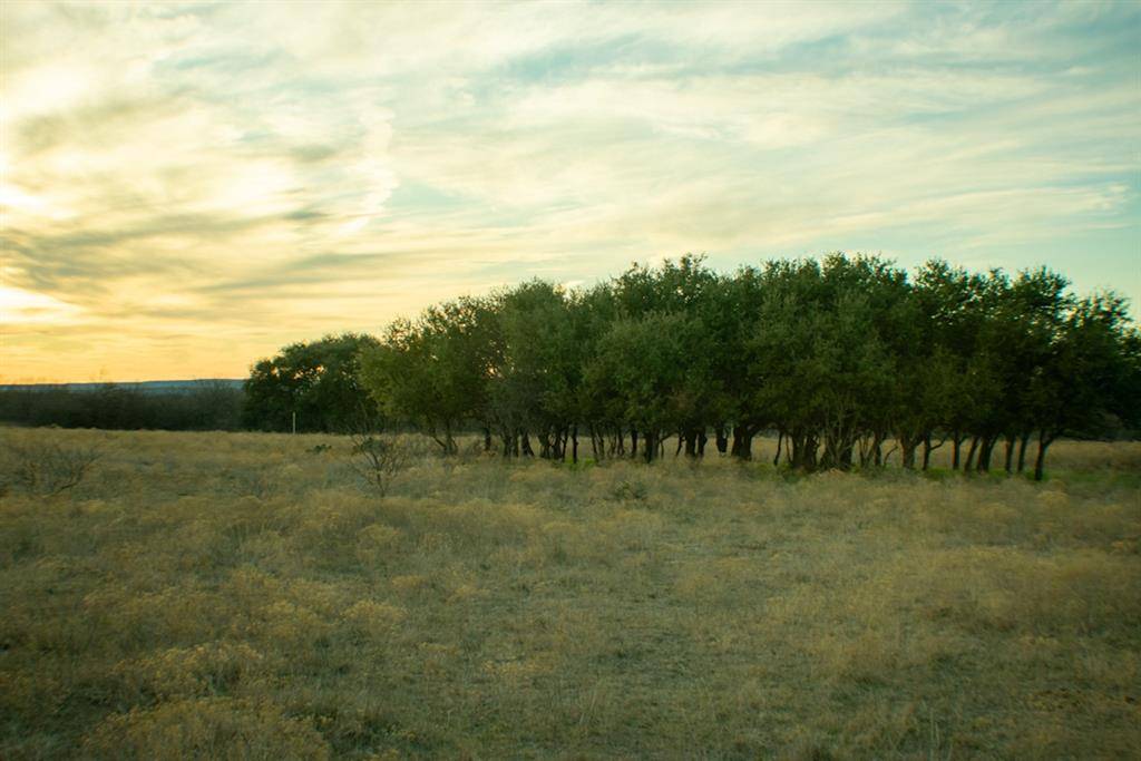 Albany, TX 76430,TBD County Rd 136