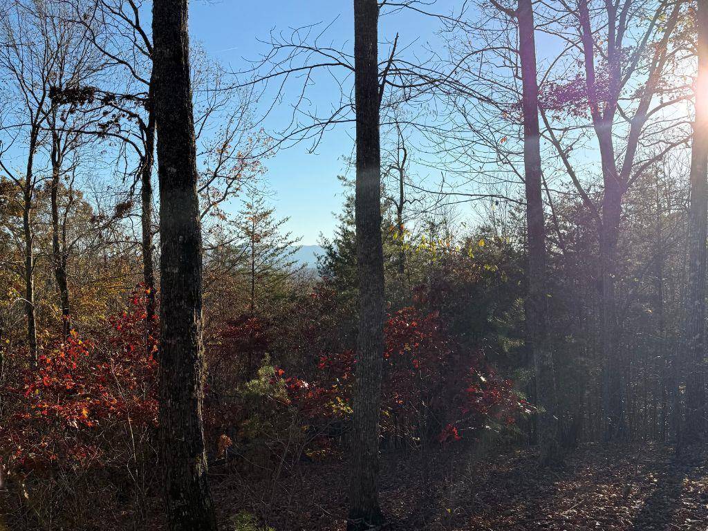 Hayesville, NC 28906,Lot 26-A Licklog Ridge