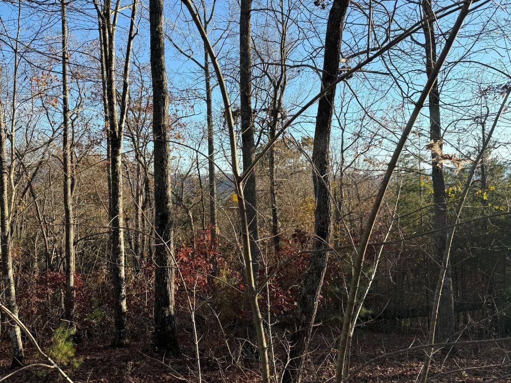 Hayesville, NC 28906,Lot 26-A Licklog Ridge