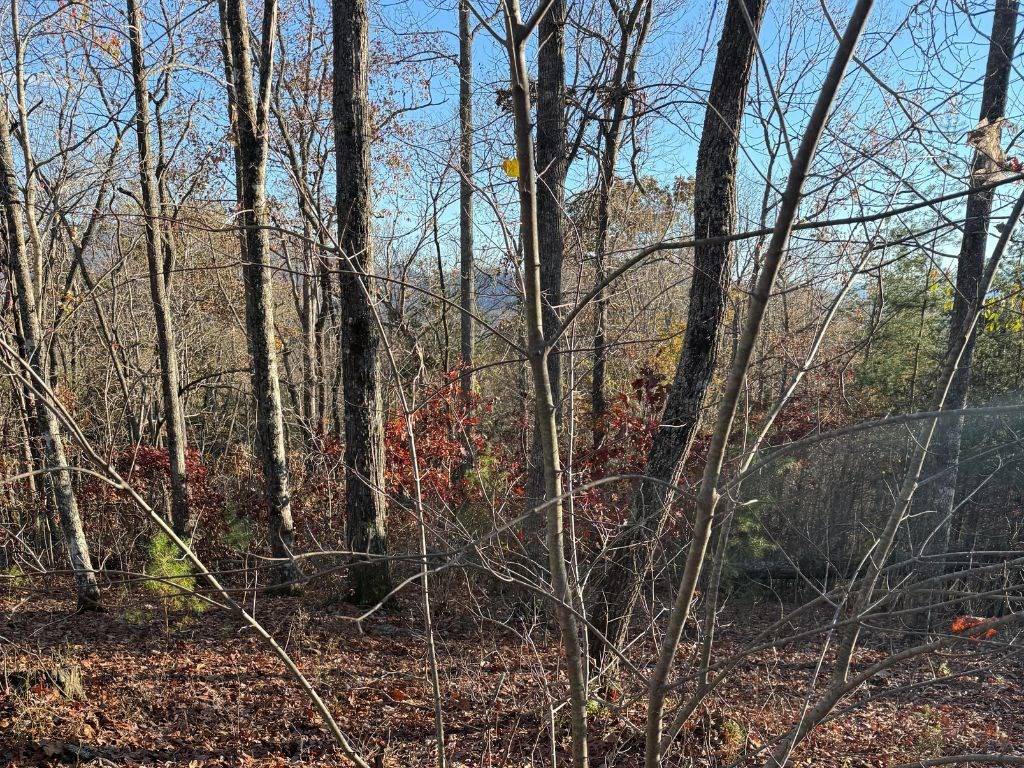 Hayesville, NC 28906,Lot 26-A Licklog Ridge