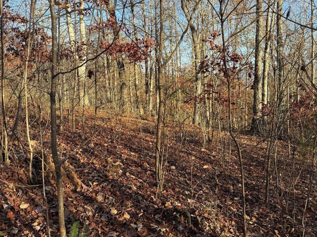 Hayesville, NC 28904,Lot 26-A Licklog Ridge