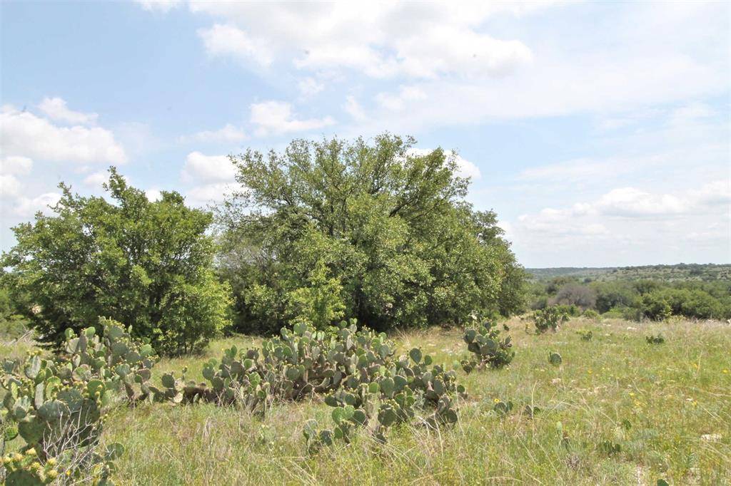 Glen Rose, TX 76043,Lot #137 Valley View Court