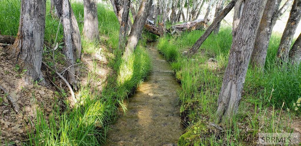 North Fork, ID 83466,TBD Fourth of July Creek Road