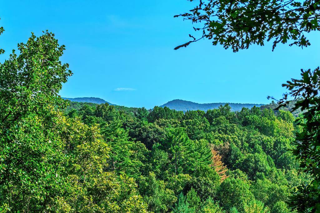 Morganton, GA 30560,Lot 9 Deer Haven Drive